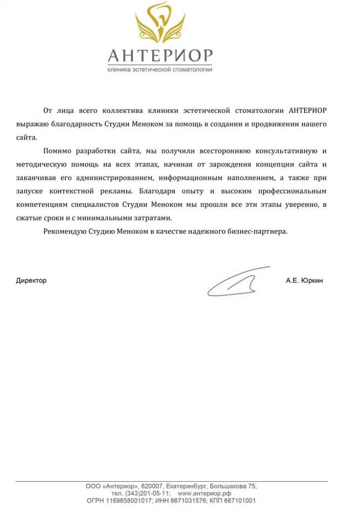 Антериор — отзыв о разработке, продвижении и контекстной рекламе