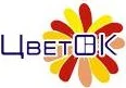 Производство цветных окон из ПВХ «ЦветОК»